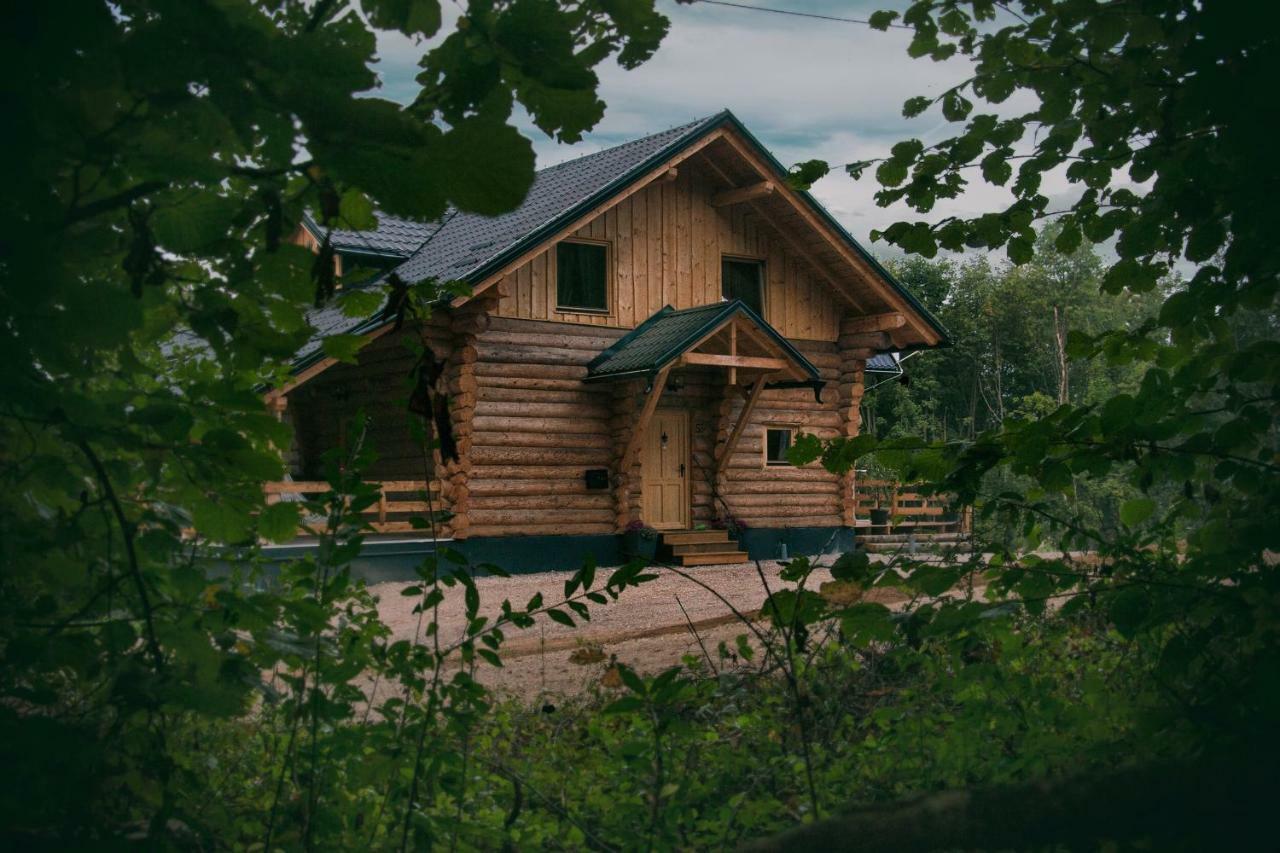 Woods Lodge Plitvice Lakes Drežnik Grad Extérieur photo